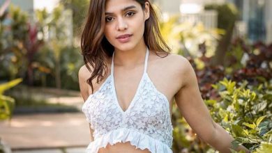 Pranati Rai Prakash Increases The Hotness By Flaunting Her Sultry Belly Dancing Moves